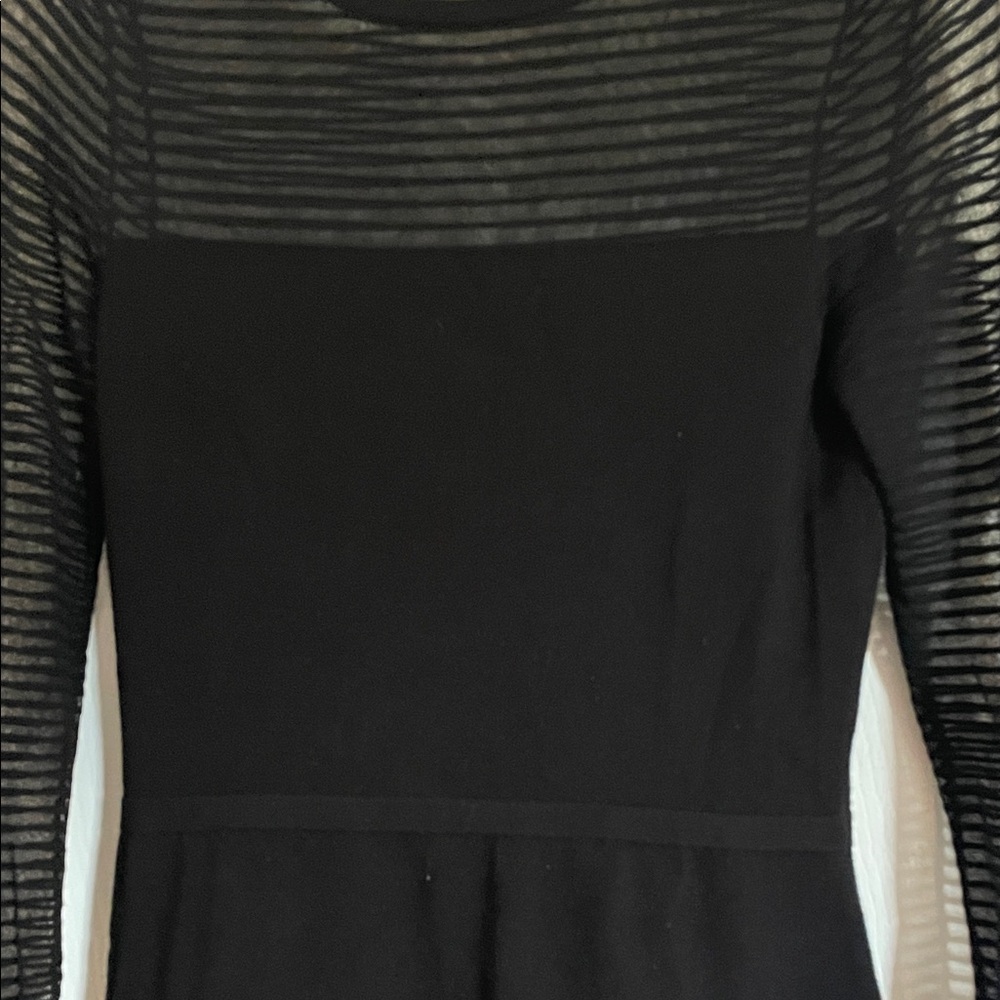 Elegant Black Mesh Sleeve Dress - Picture 4 of 4